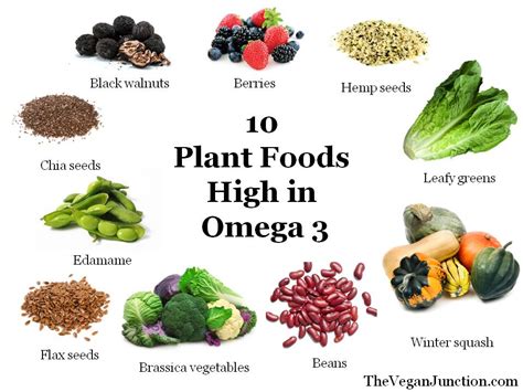 omega 3 vegetables and fruits|plant based omega 3 sources.